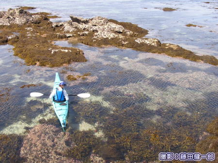 海藻に恵まれた富浦町の海