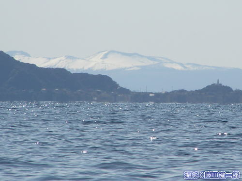 雪を被った大島