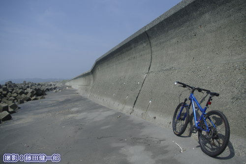 平砂浦海岸の堤防