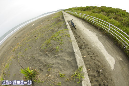 南房総市和田町の産卵地で自転車道に落ちたウミガメの足跡