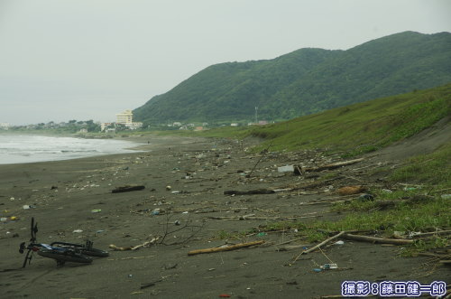 延々と続く漂着ゴミ。館山市平砂浦海岸。