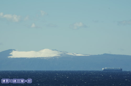 伊豆大島に今年も雪が積もりました。