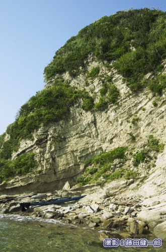ハマナタマメの見つかった崖。カヤックがあればこそ。