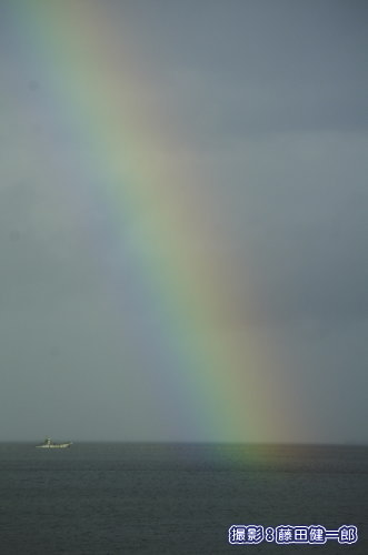 朝のウミガメ調査前に遭遇した海に落ちる虹。