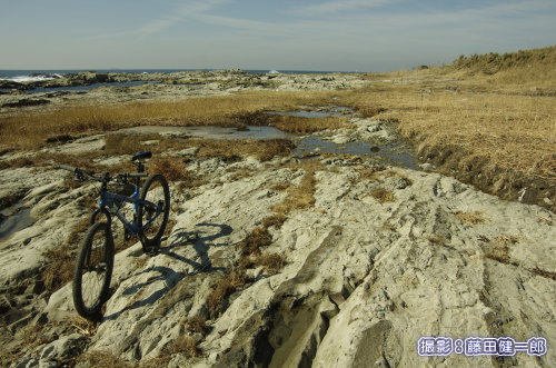 この写真に写っている岩棚は全て波で覆われ、右奥の小高い植生群まで波が来た形跡がありました。