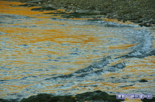 オレンジ色に染まった海。夕焼けのきれいな季節です。
