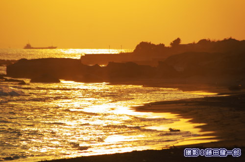 写真：夕焼けに染まる海辺。