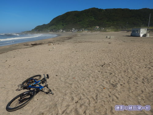 写真：お盆が過ぎてすっかり静かになった根本海岸。この辺りに6/26産卵巣がありますが、まだ孵化などの様子なし。