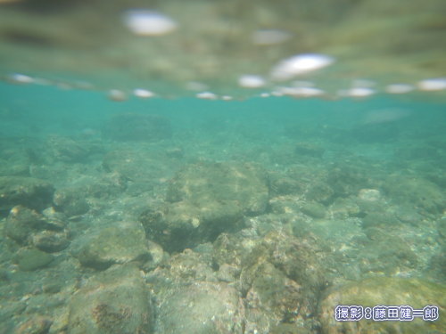 写真：カヤックからカメラを水中に入れて撮影。気温が下がり、次に水温が下がってくると透明度が高まります。