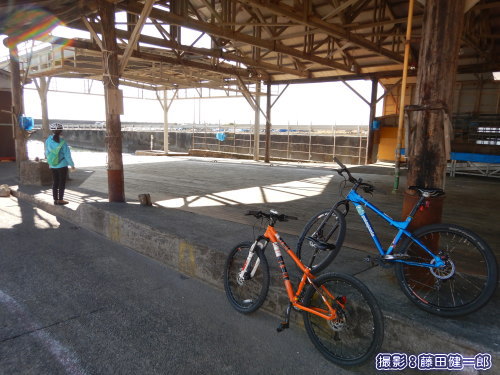 写真：自転車で和田のクジラ解体場に立ち寄り見学。