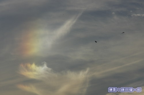 写真：太陽の横に出る虹色の光。幻日と鳥たち。