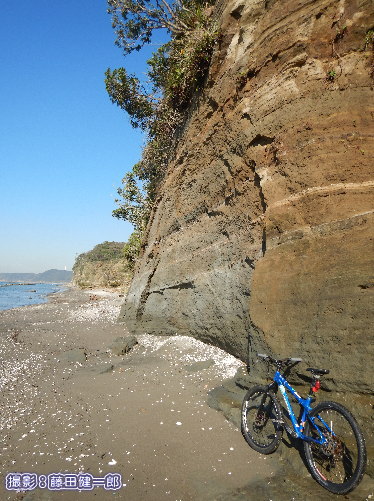 写真：潮が退いた時間でなければ通り抜けられない海岸で地層を見学しながらツアーの下見。自転車にも良い季節になりました！