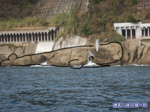 写真：鋸南の潮吹きトンネルの海側には本当に潮吹くクジラがいました！（笑）