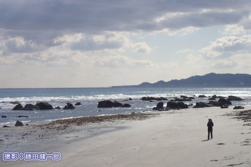 写真：海岸散策にも良い季節です。写真では小さすぎて見えませんがヒメアマツバメが多数舞っていました。