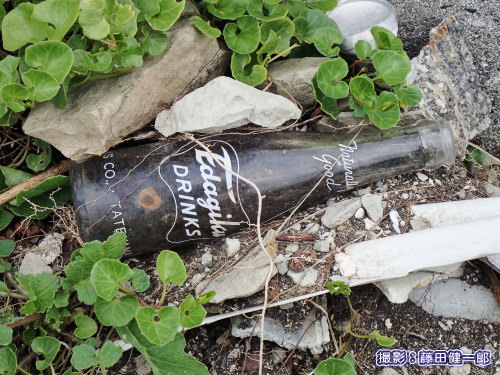 写真：ビーチコーミングでは自然物以外にこんなレトロな瓶も見つかります．これはTATEYAMAと文字が入っていたご当地もの！