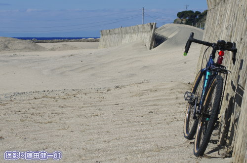 写真：奥行きが深く関東では屈指の砂丘が広がる根本海岸．
